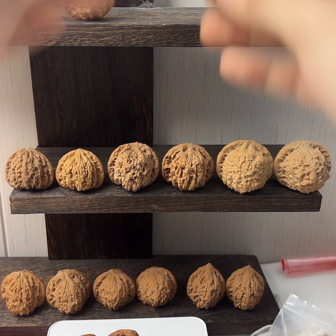 西***北大叶紫檀（黑酸枝木类）