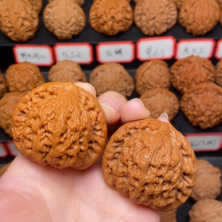 文玩核桃把件金公子45有修