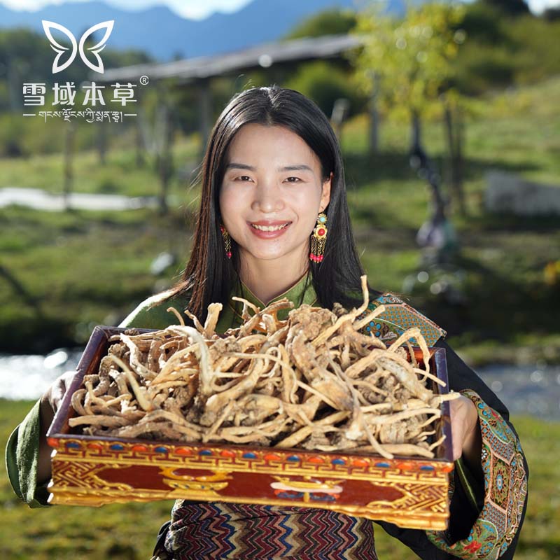 【正宗西藏野生党参】精选老党参 西藏源头直销 高端滋补 煮水煲汤