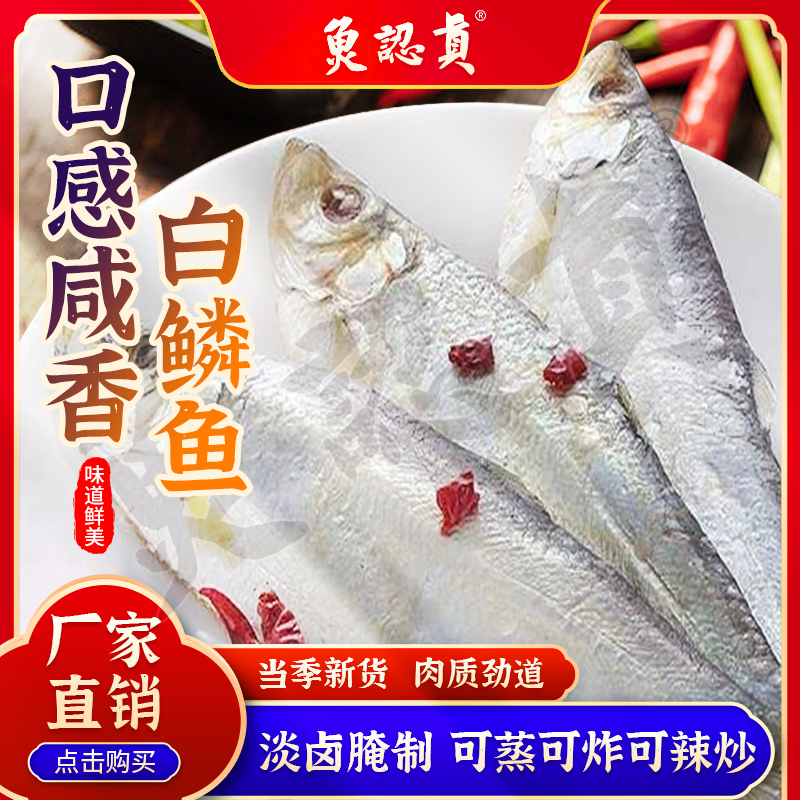 鱼认真山东淡卤腌制 鲜香清蒸 辣炒油炸 开胃下饭 白鳞鱼5斤装