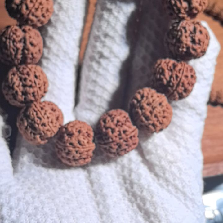 兔***和大叶紫檀（黑酸枝木类）