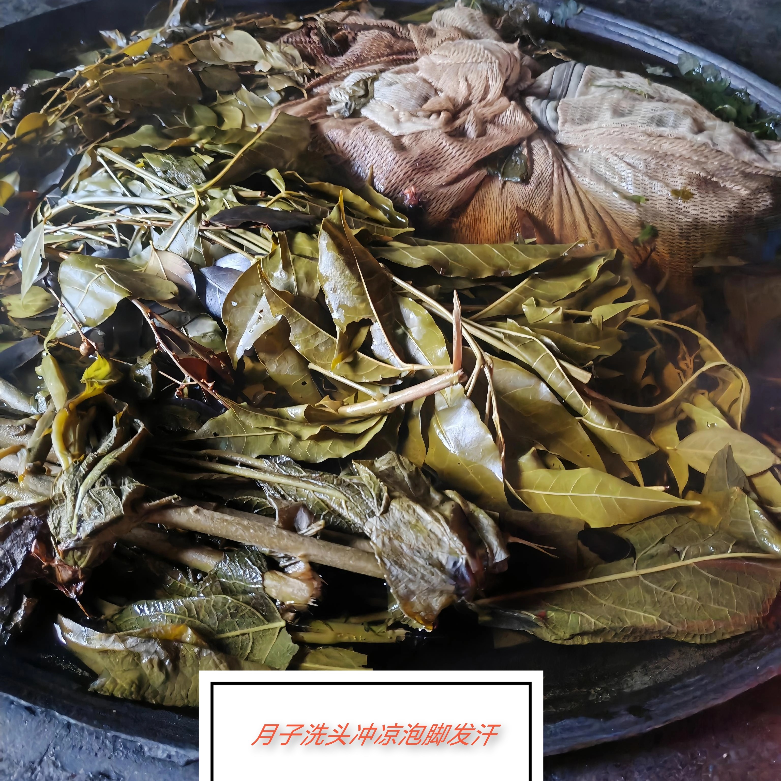 野生月子草冲凉洗头泡脚祛风组合农村直发
