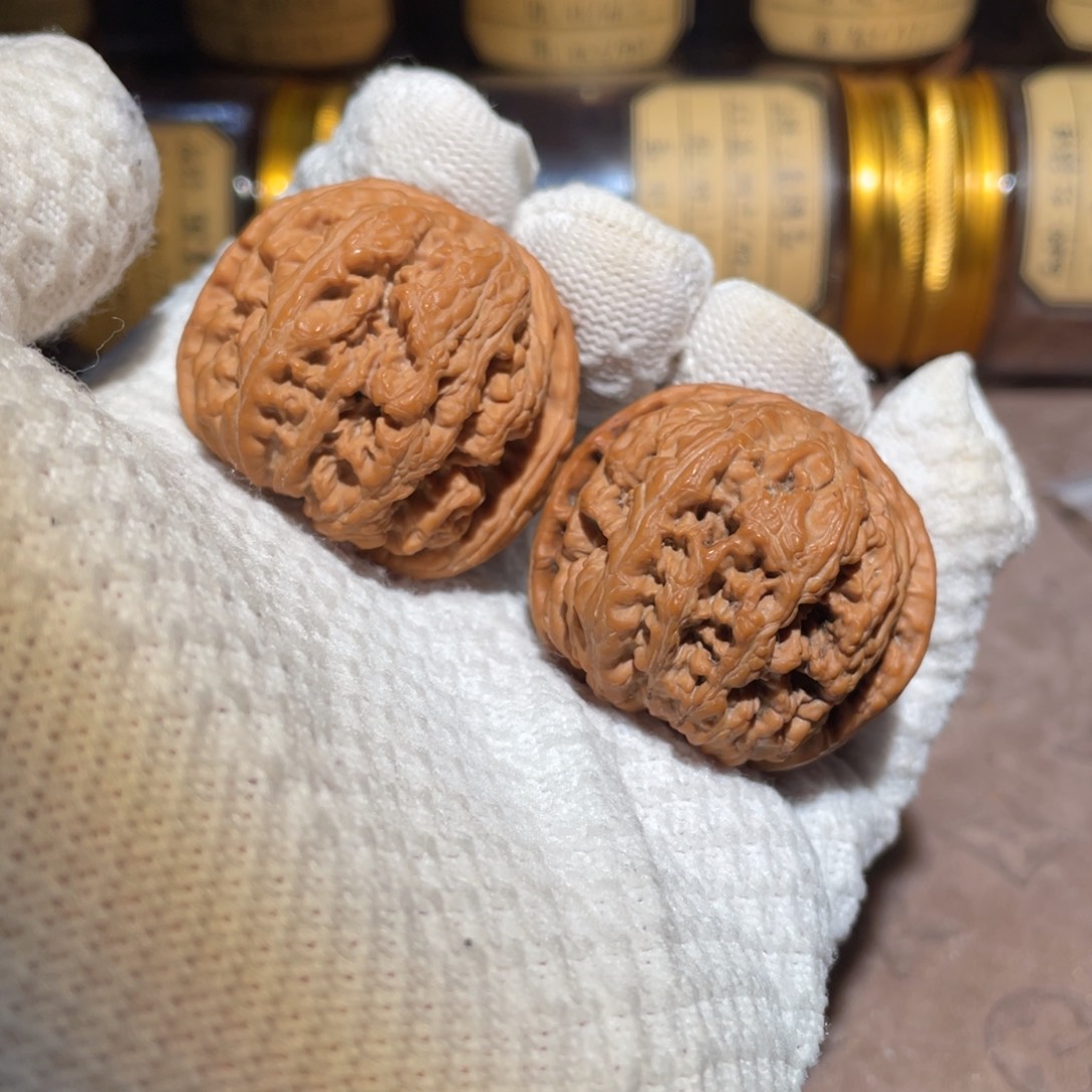 核桃41球筋jjjjjjjj