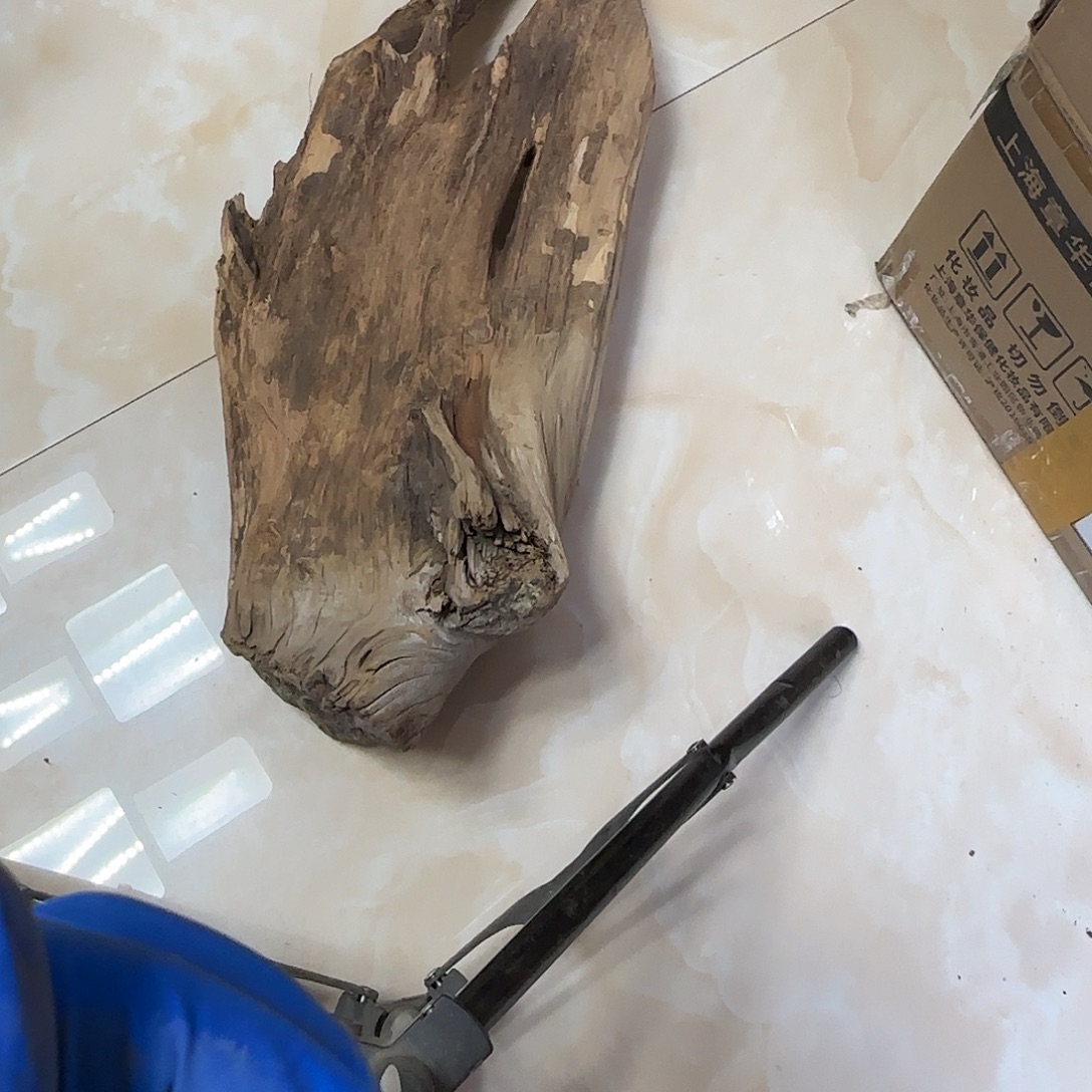 游***梦木陈化到位坨坨疙瘩