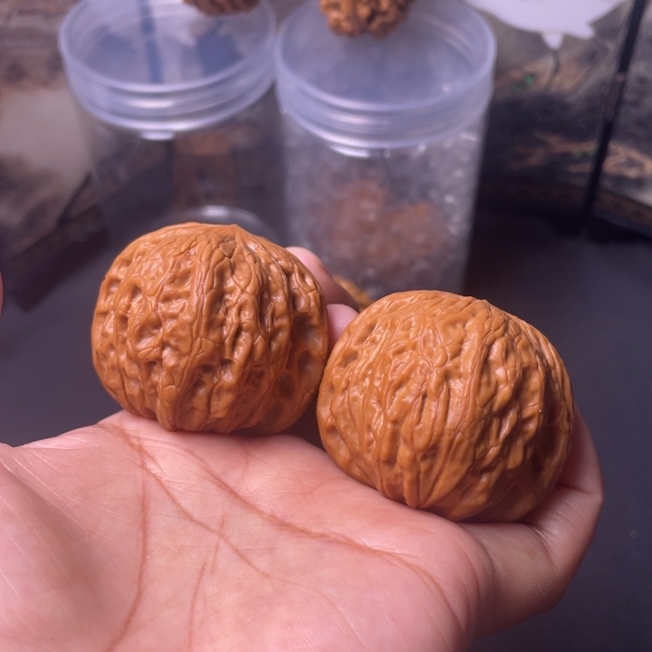 文玩核桃把件39铁锤