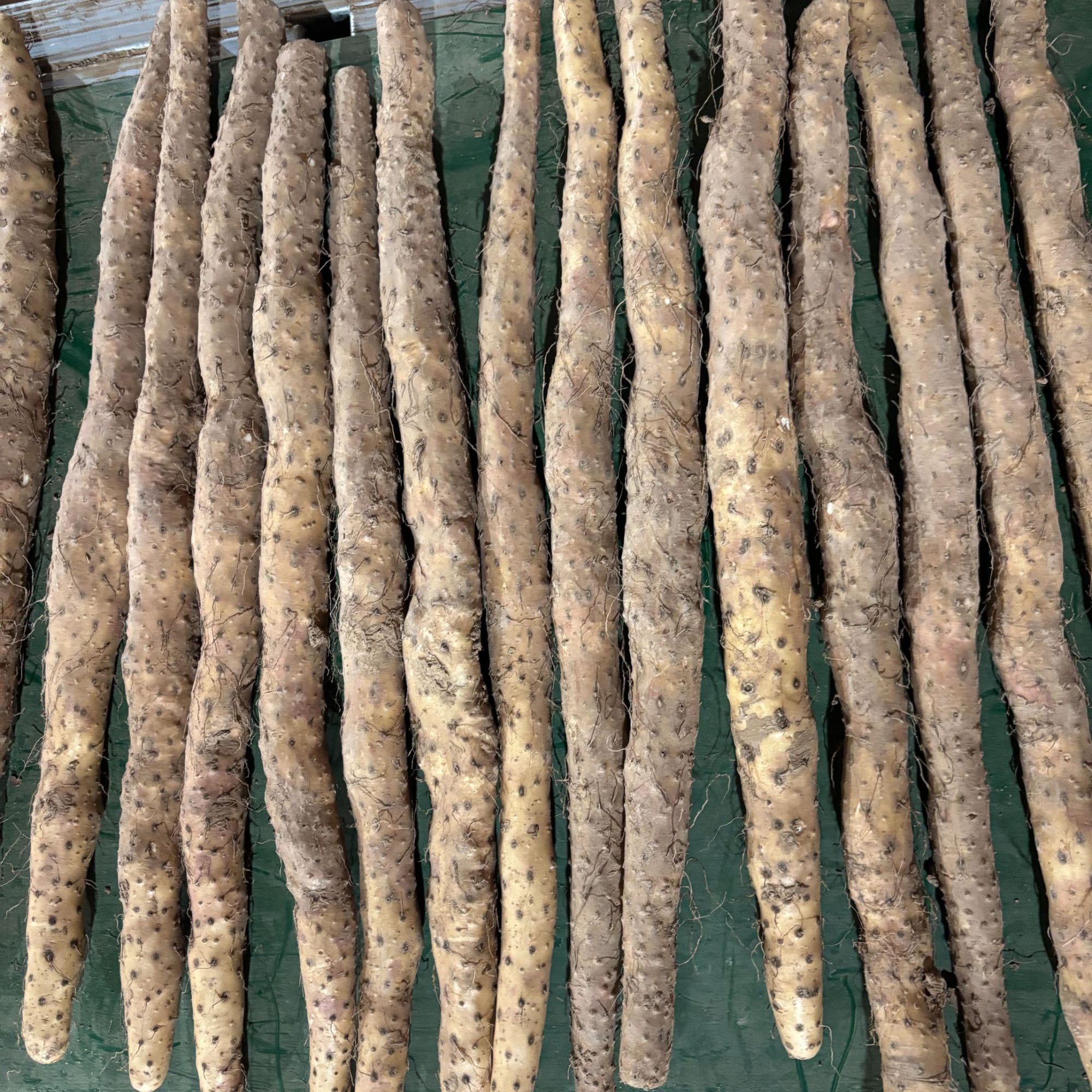 【顺丰】河南温县垆土铁棍山药 净重5斤 新鲜现挖 