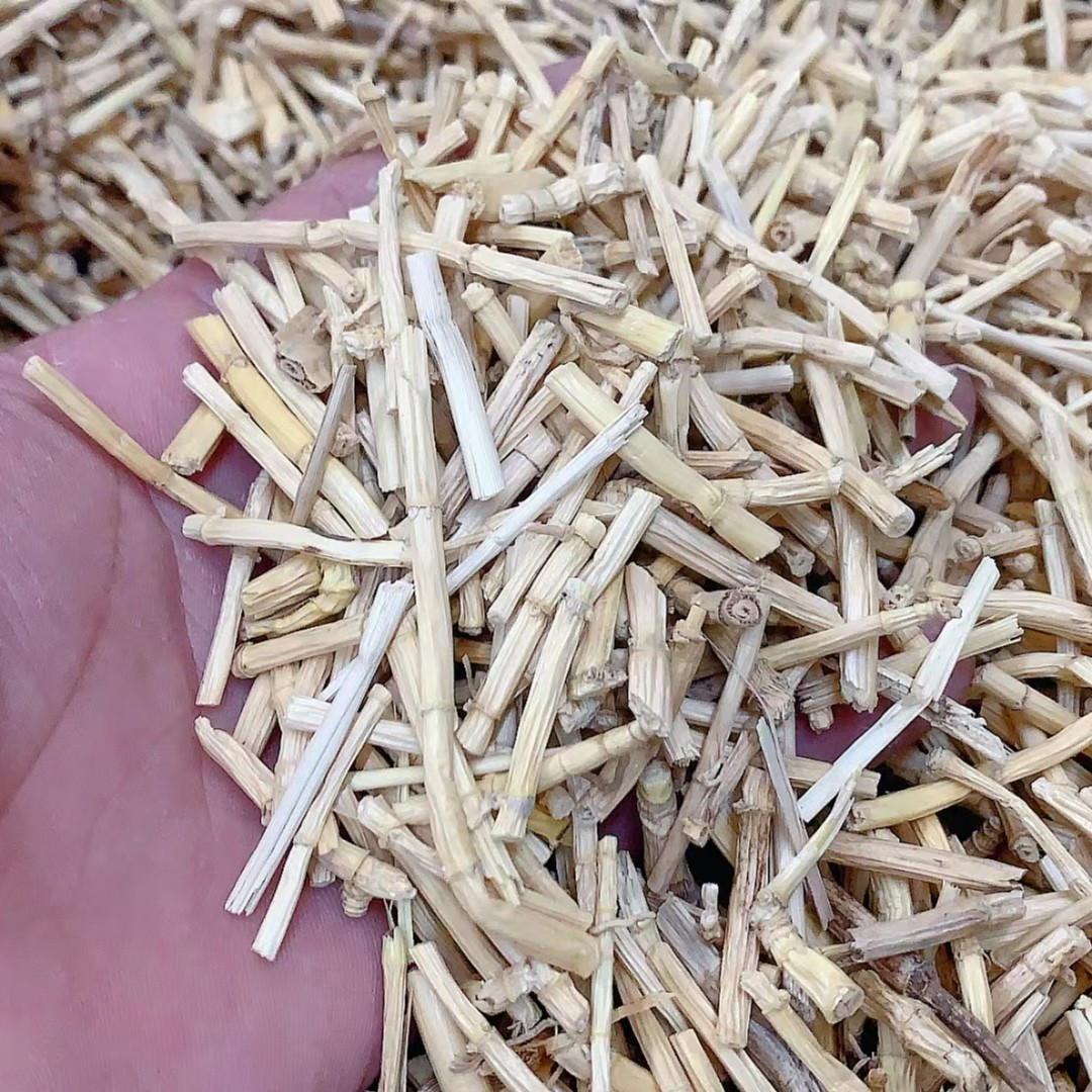  海底椰 梨干 竹蔗 茅根 各250g