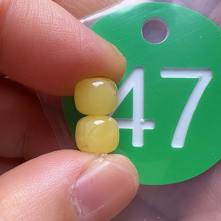 蜜蜡未镶嵌珠宝奇石7m m