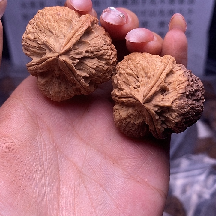 核桃云南野生铁核桃123号36mm
