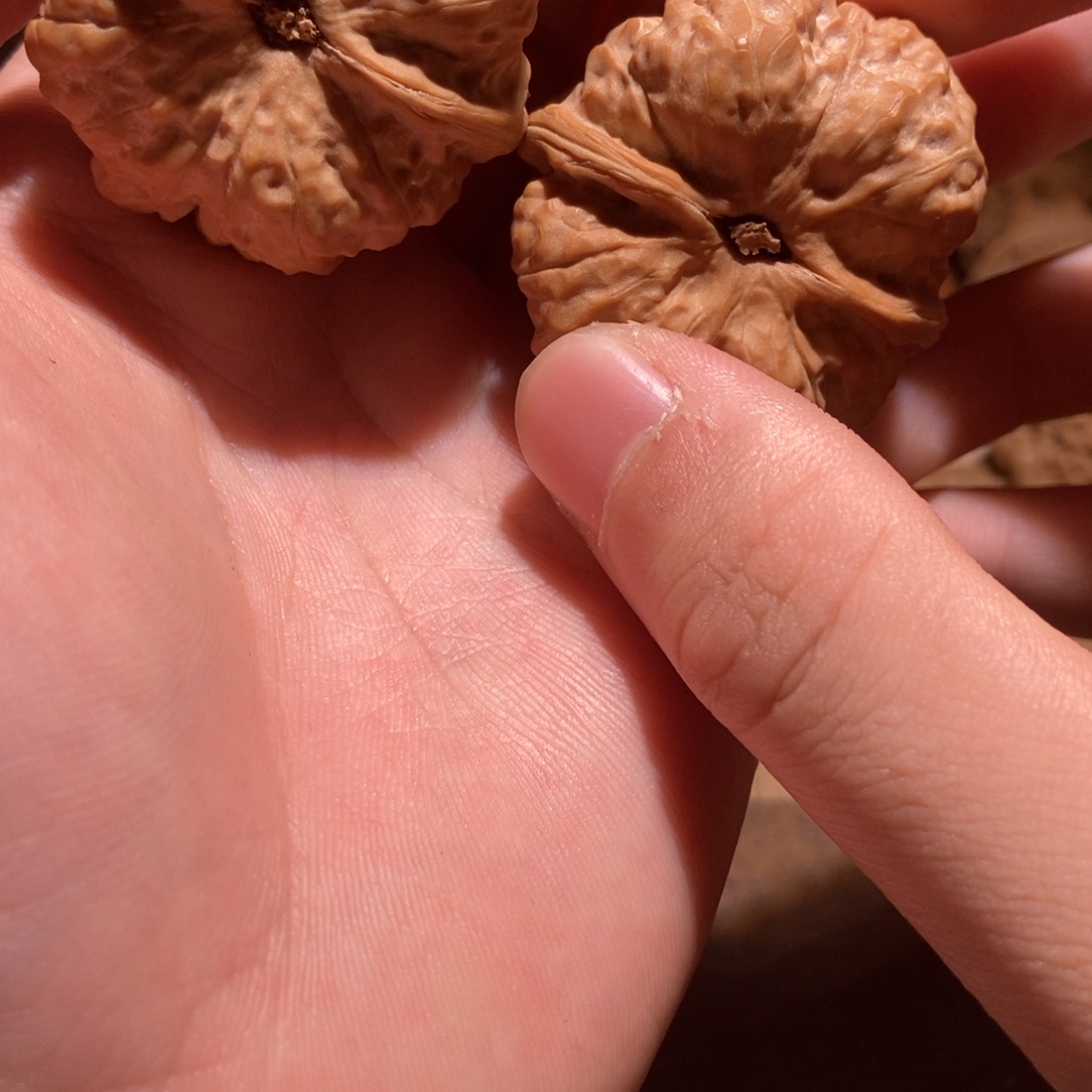 西***北文玩核桃吊坠蛤蟆头D51