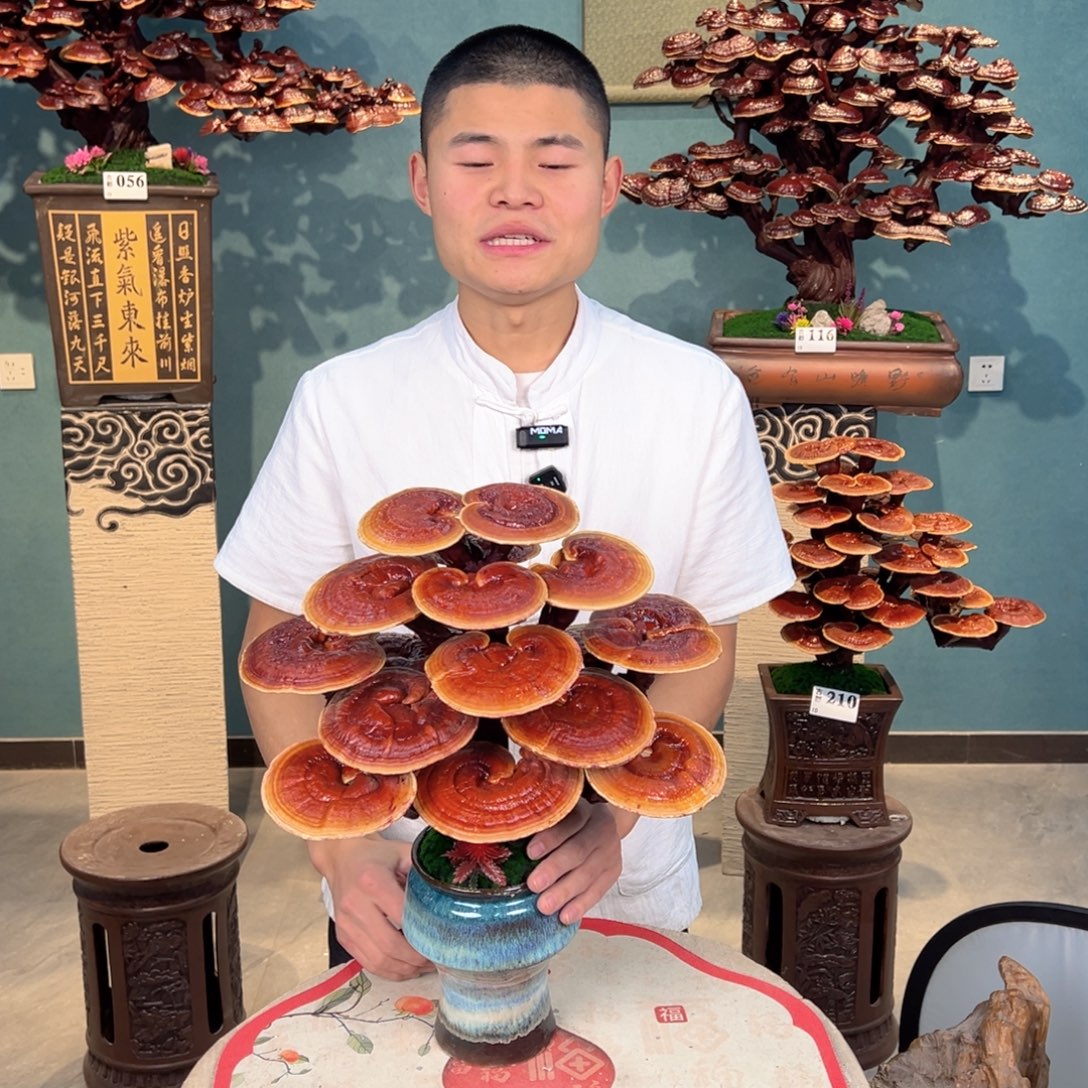 无花朵88888888888