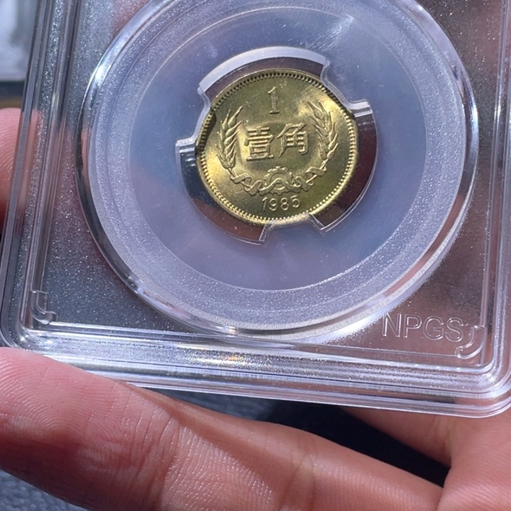 金属豪豪豪豪豪豪2535