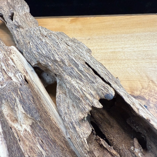 【国海沉香】海南国香醇化虫漏熏香料 天然虫漏出奇香