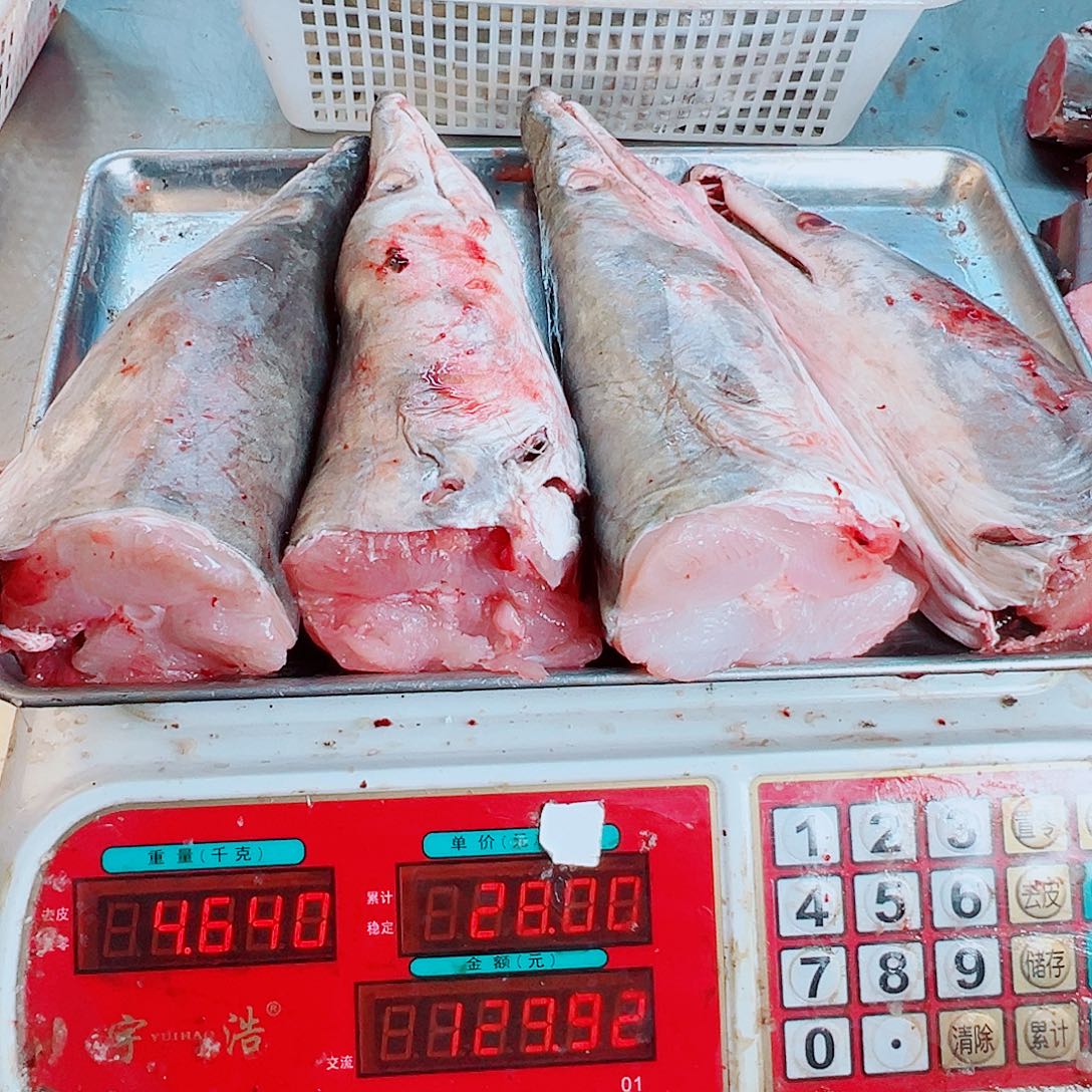 中国大陆四个鳗鱼头