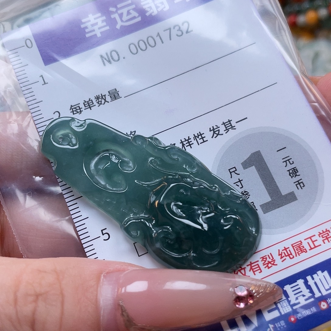 翡翠未镶嵌颈饰hhh