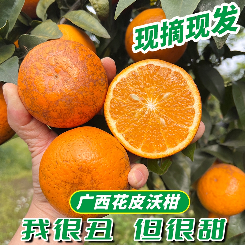 广西武鸣沃柑花皮果8斤香甜饱满皮薄肉厚水果新鲜现摘柑橘