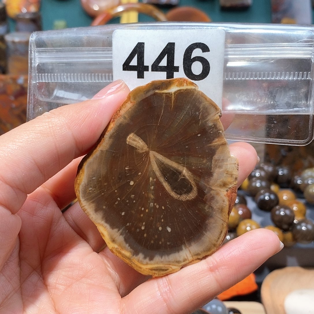 硅化玉天然北票硅化玉原石未镶嵌天然北票硅化玉原石