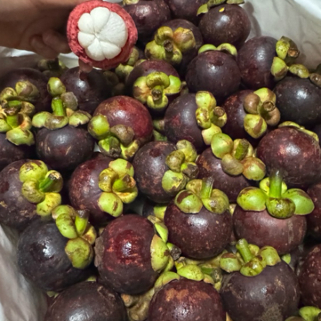 活动款山竹新鲜到货特价9.9