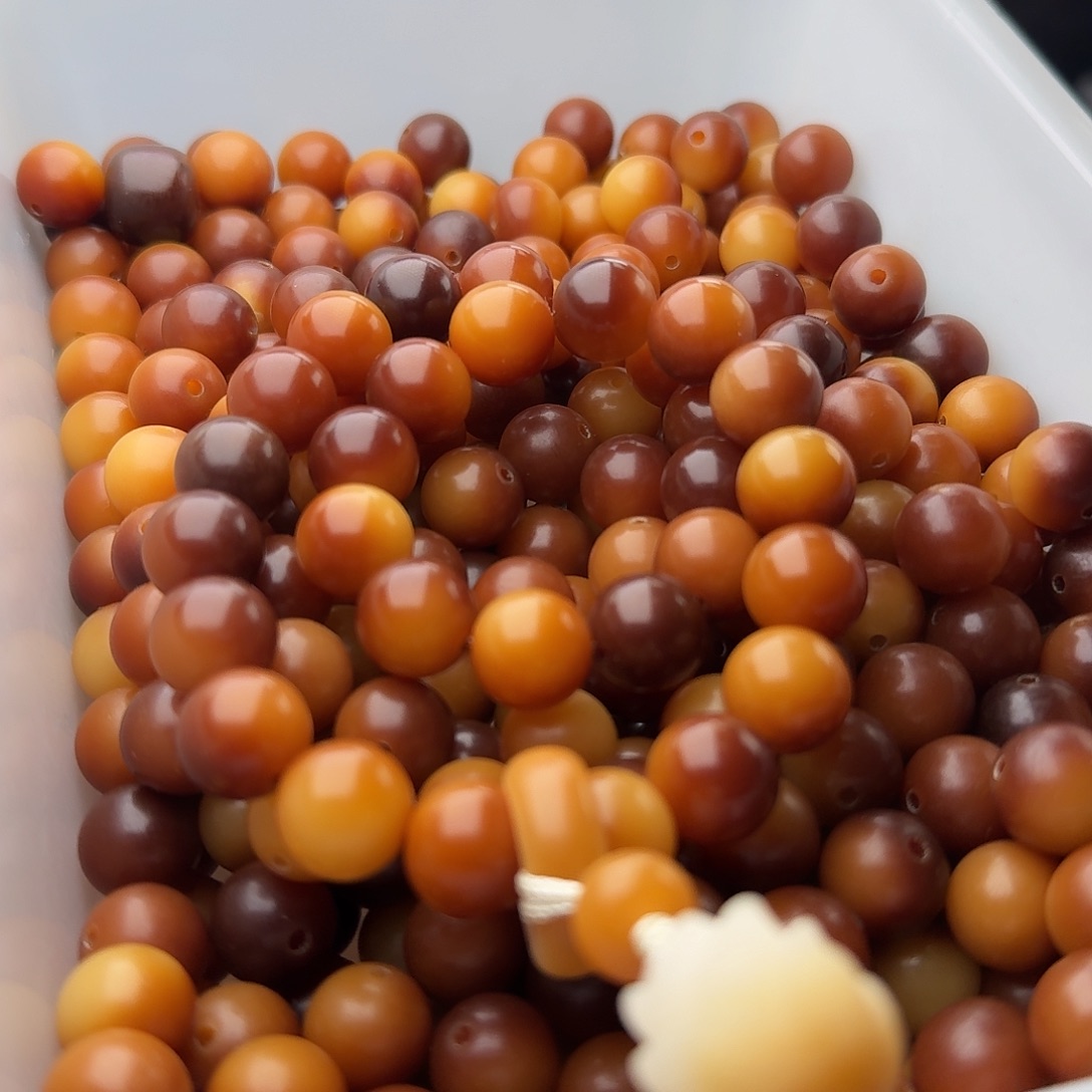 吊坠菩提根/象牙果50 颗油膏可可 12 圆