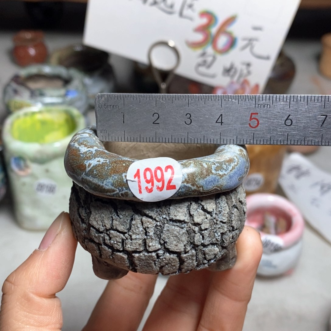 花盆双十二活动不退不换的原28元一个