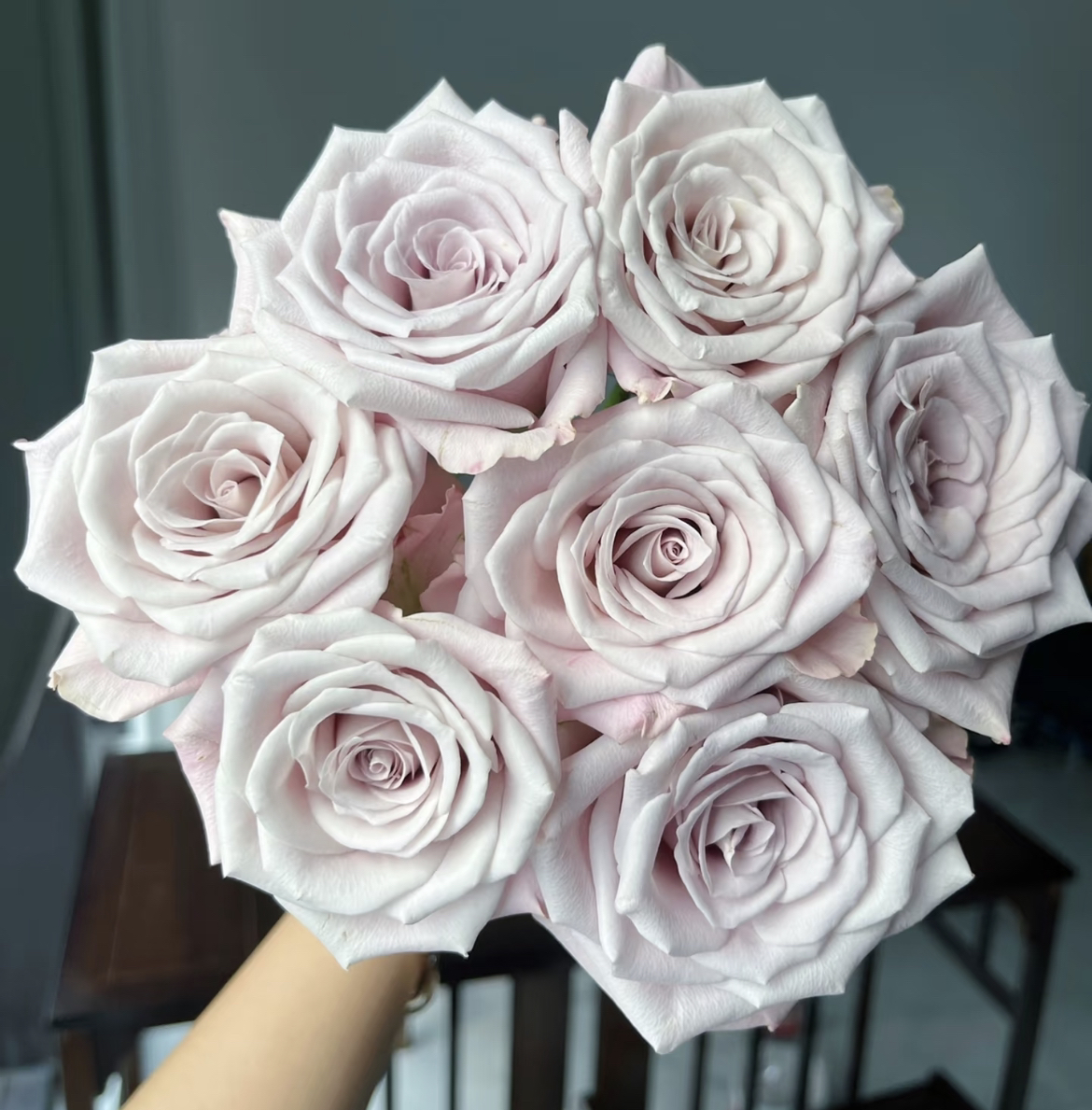 （曼曼）曼塔15支+5支防损 鲜花任意两单包邮