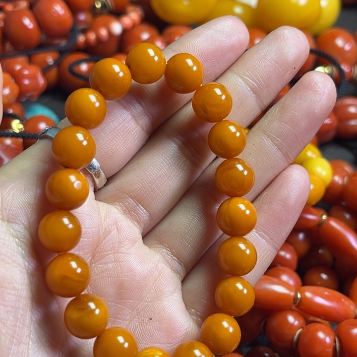 颈饰琉璃金**鹃琉璃……………