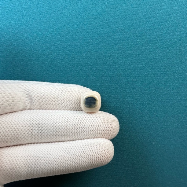 D30-50天然猛犸牙 精品蓝眼睛老型珠12*11.3mm支持复检假一罚十