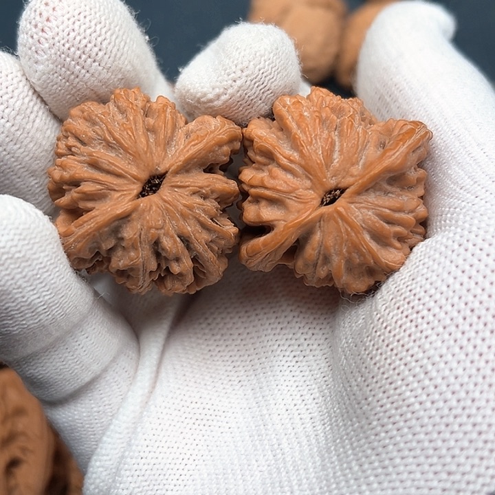 辉*麦穗虎头原生态37尺寸