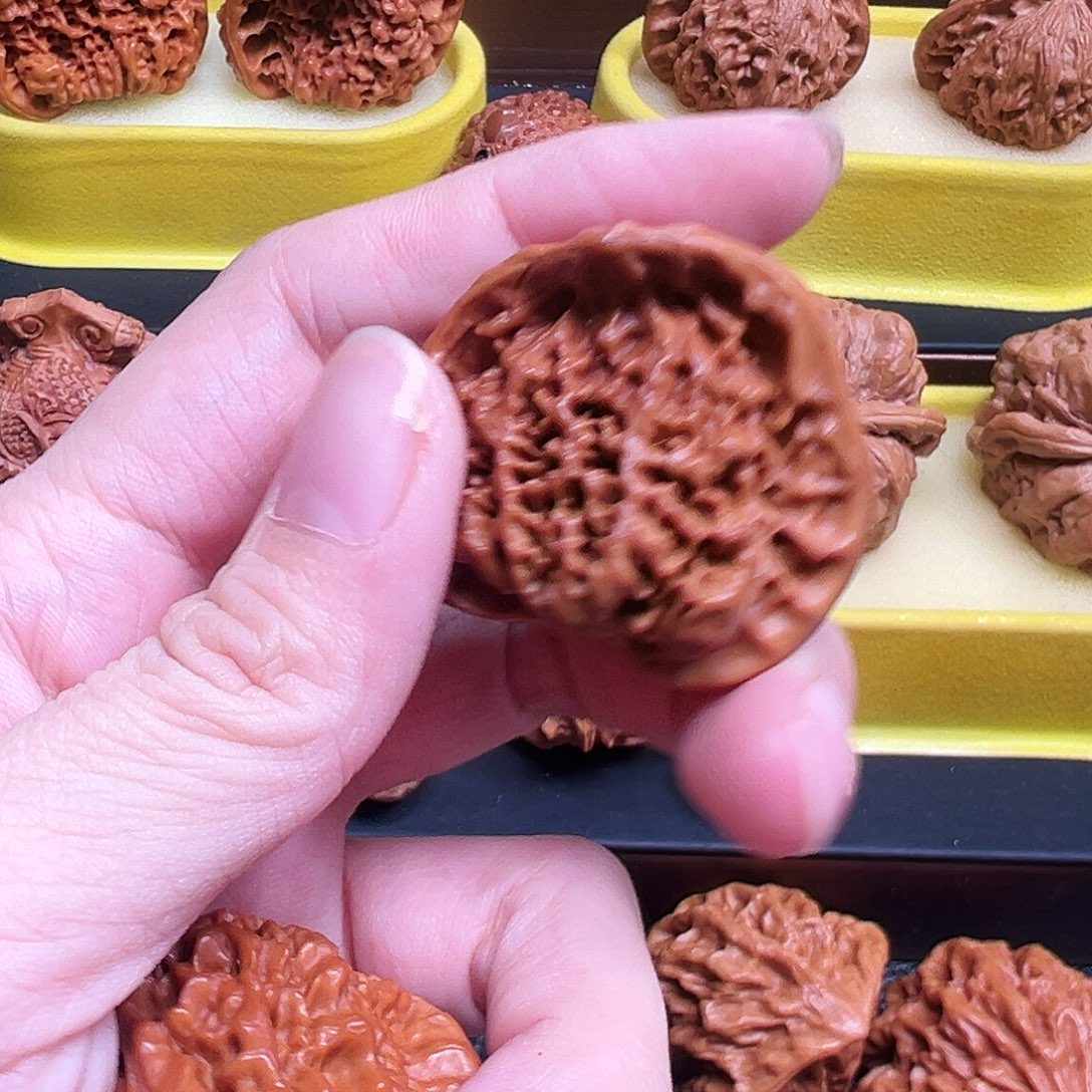 无***…M144   39蛇   蛇头