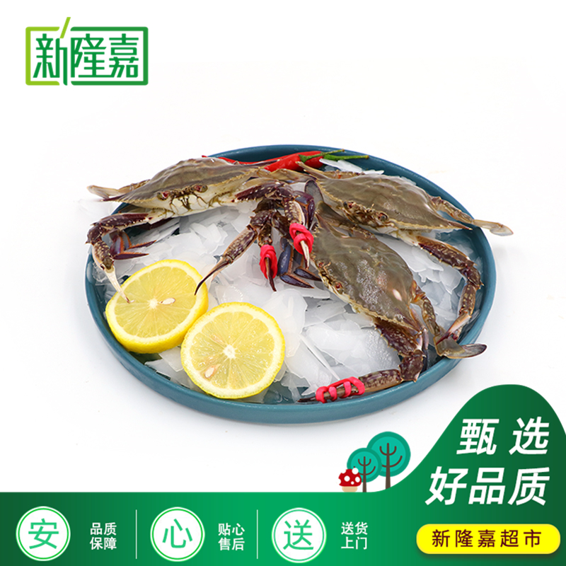 【天丰店 新/断养福利】当天断养飞蟹3-5斤 单只重量3-6两【保鲜不保活】