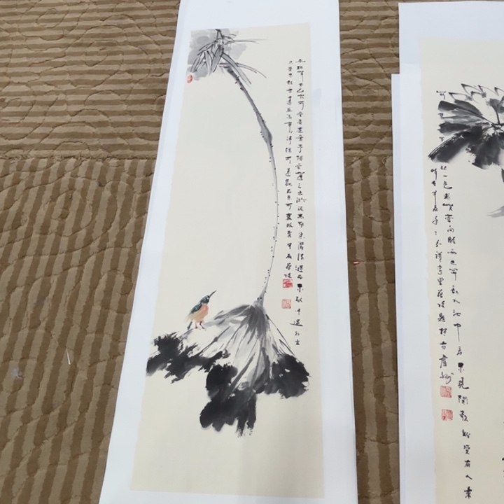 国画花鸟等多种鸟类的栖息环境