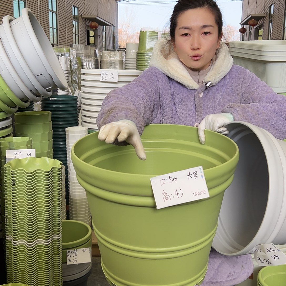 罗马盆大号果绿3个无托