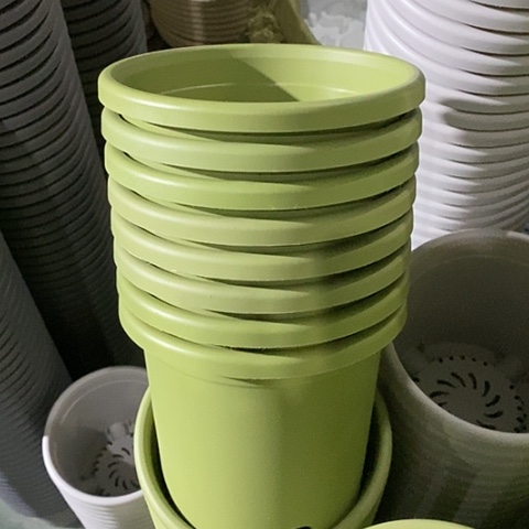 树脂四季2号6个无托果绿