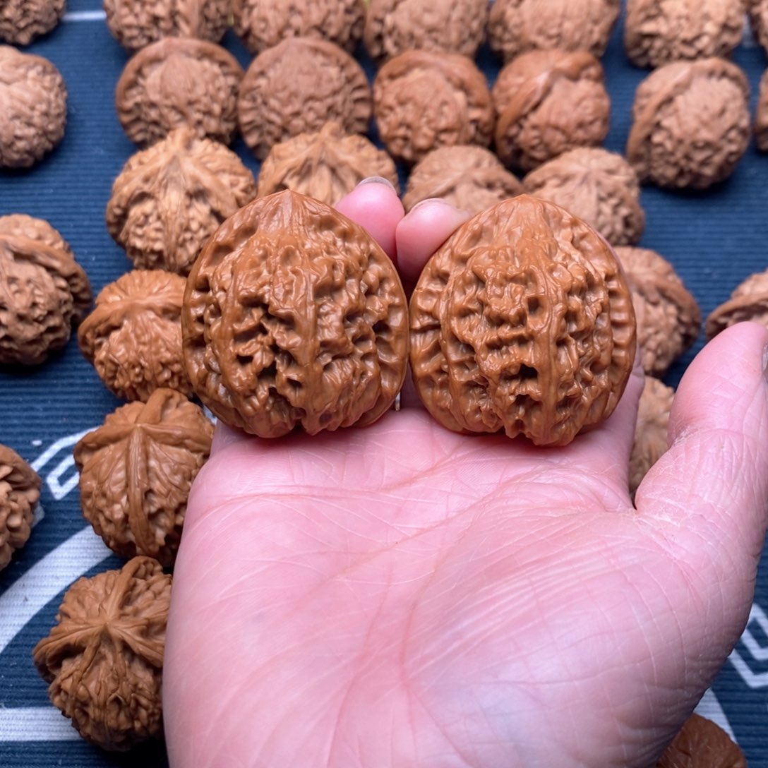 橄榄核手串/手链雪狮40