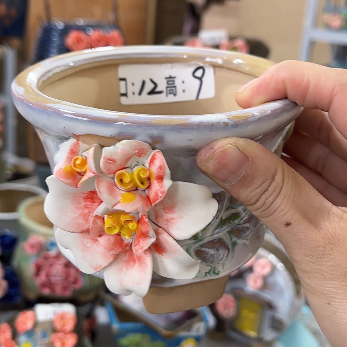 【闪购商品】红陶福利