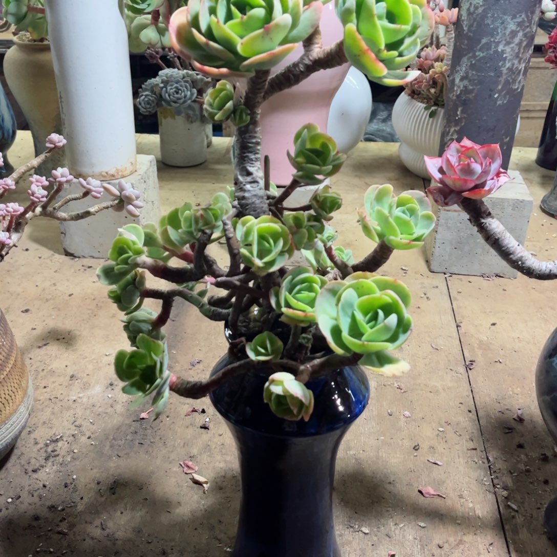 你是否还记得你曾经说