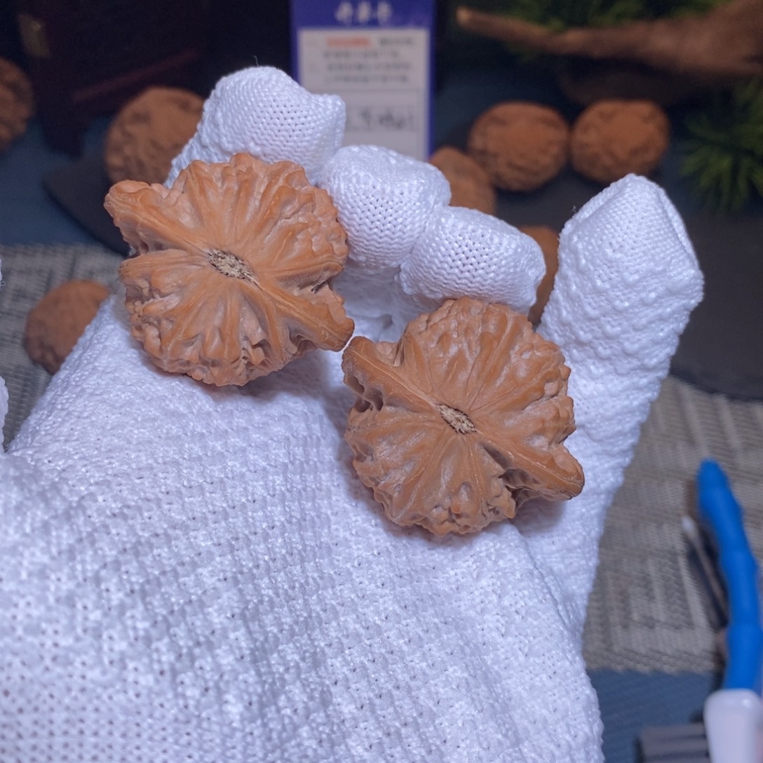 42尺 全品无修白茬 25头茬 战鼓