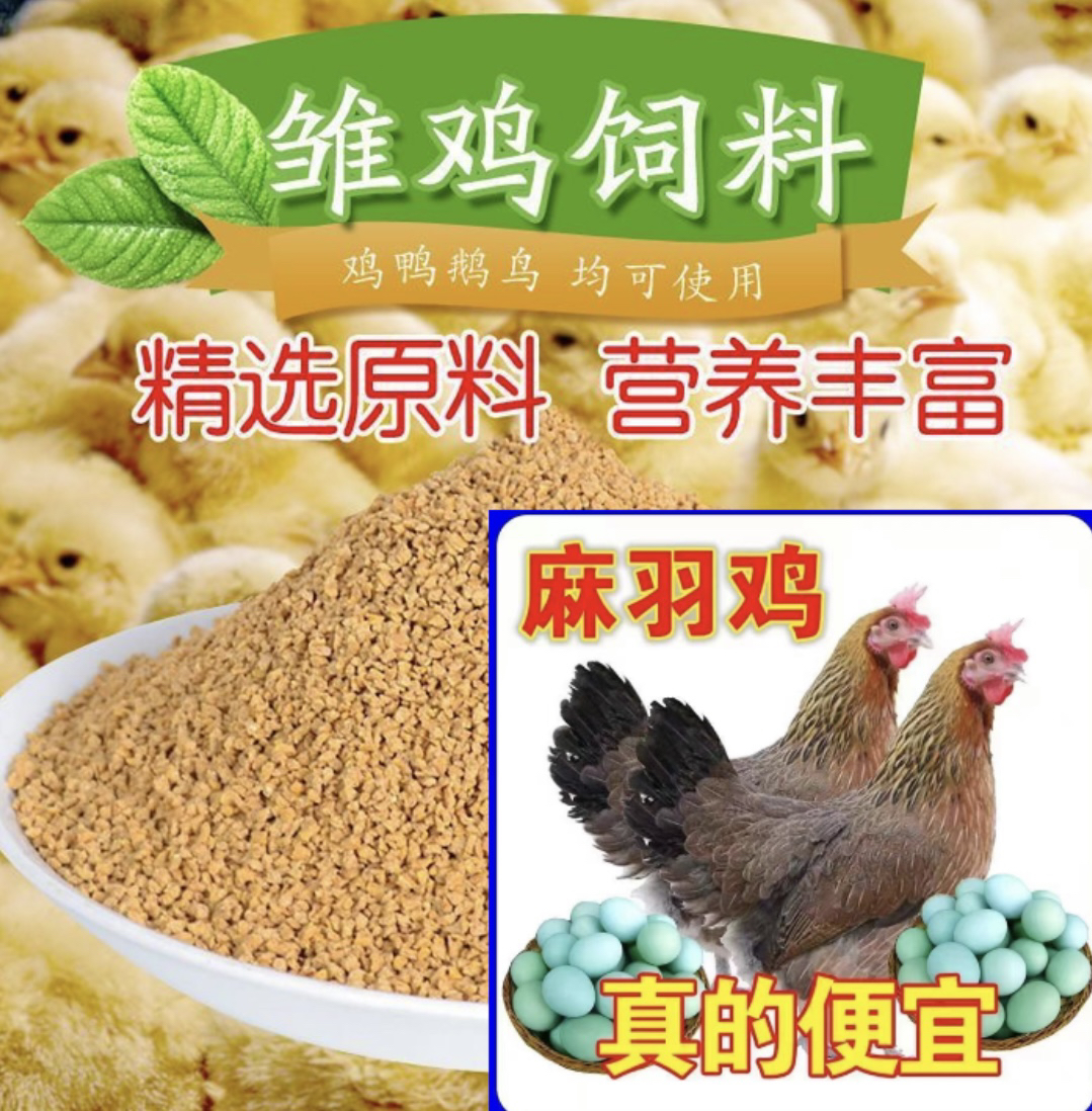 2月小鸡饲料营养健康谷物丰富