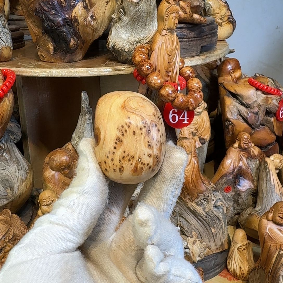 柏木（崖柏）6666666