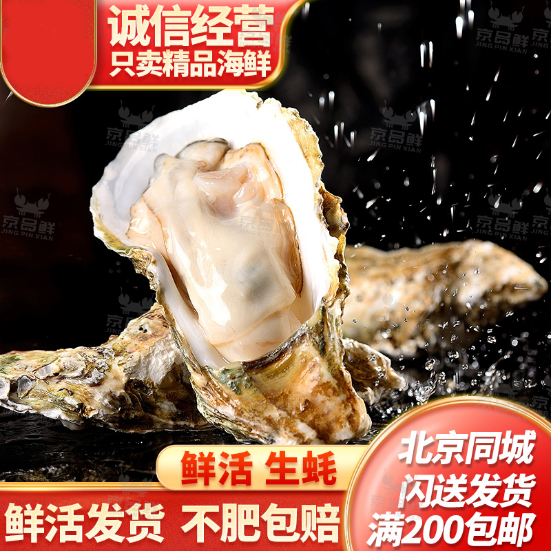 生蚝多规格可选