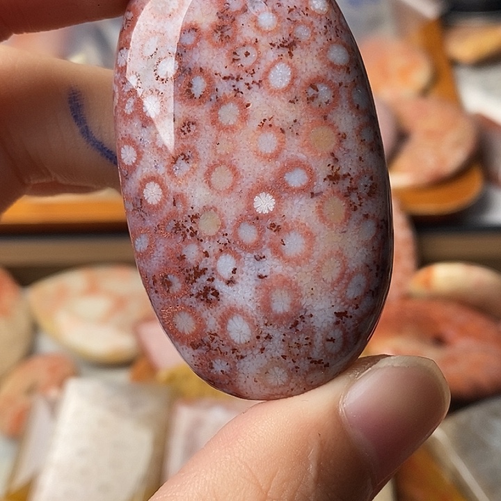 淘***五硅化玉未镶嵌颈饰