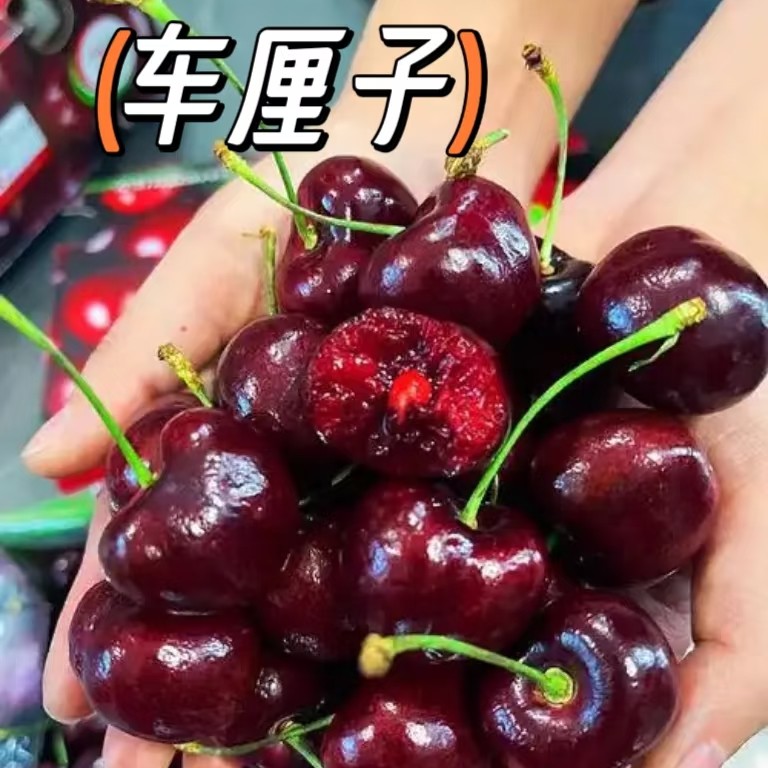 波板海运车厘子4J（32-34mm）净重5斤1箱智利