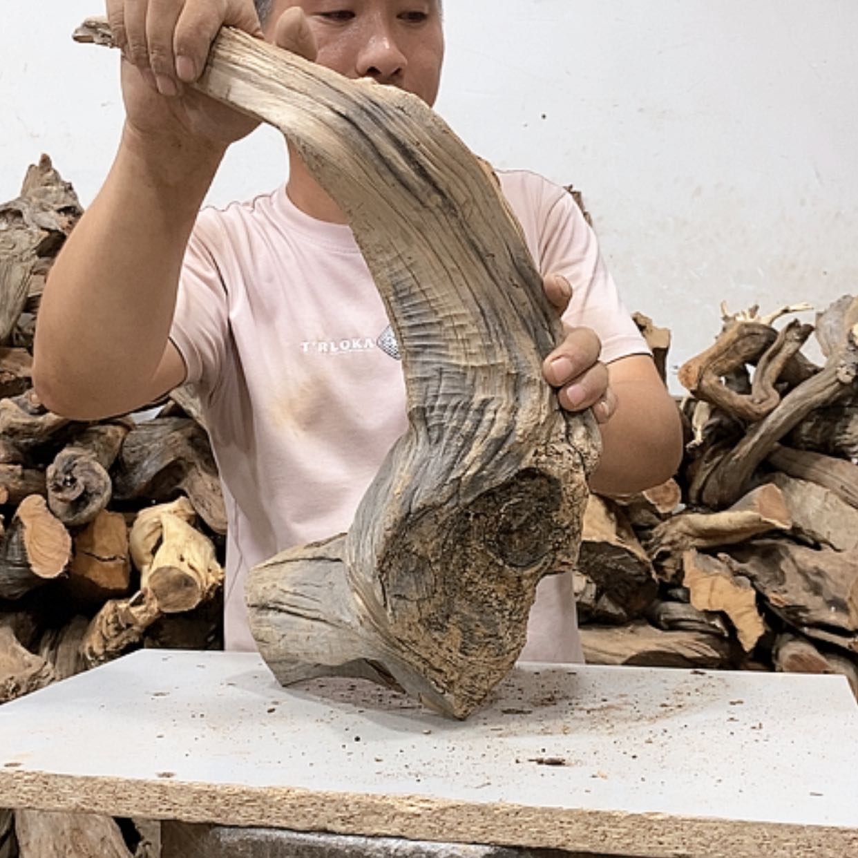【闪购商品】柏木秋**雕我们都是好孩子