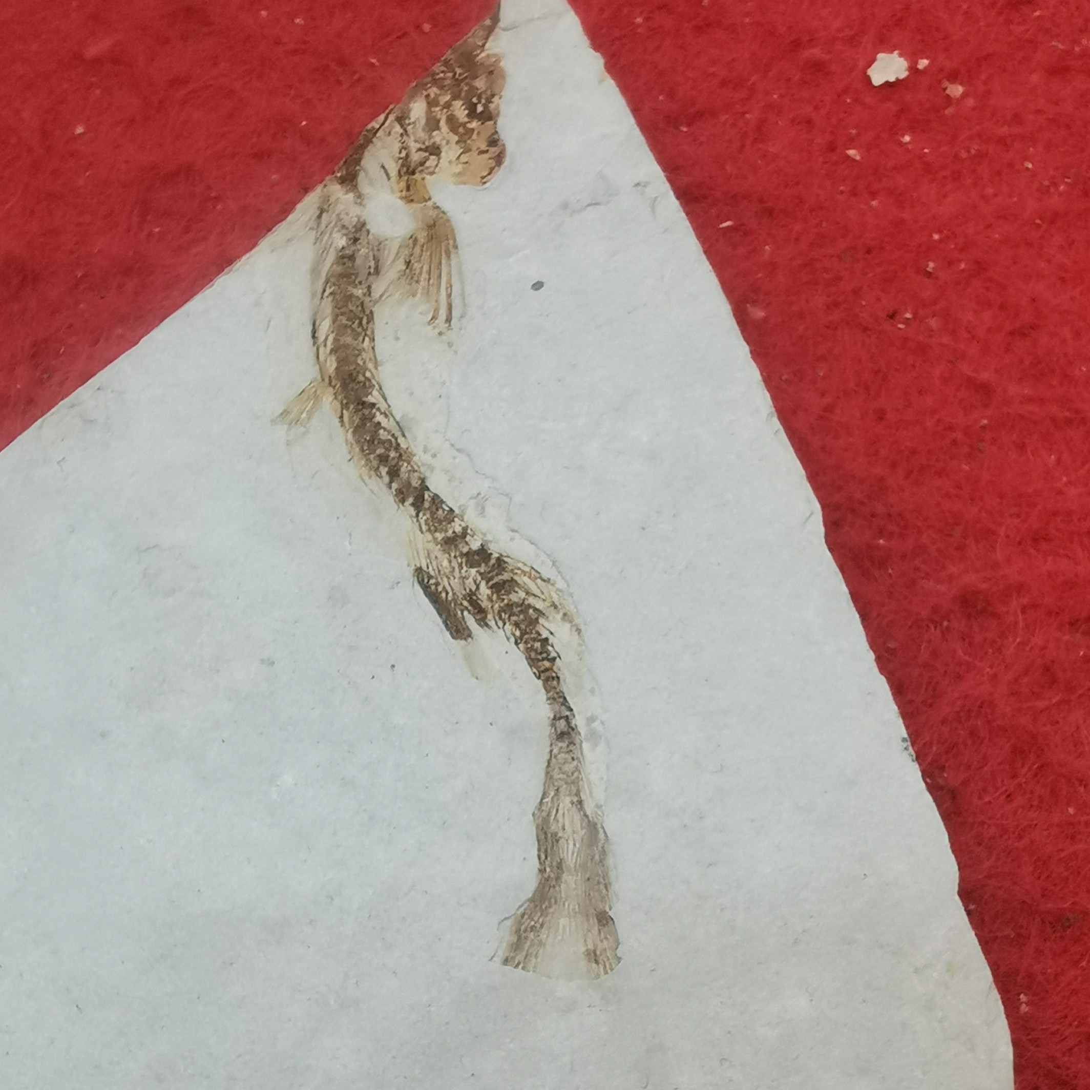 居家装饰摆件复古