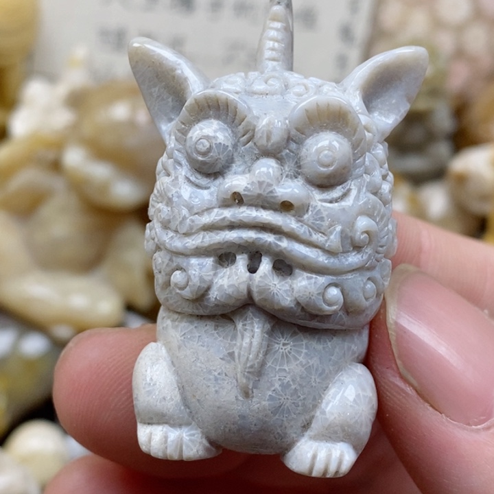 颈饰未镶嵌硅化珊瑚（珊瑚玉）