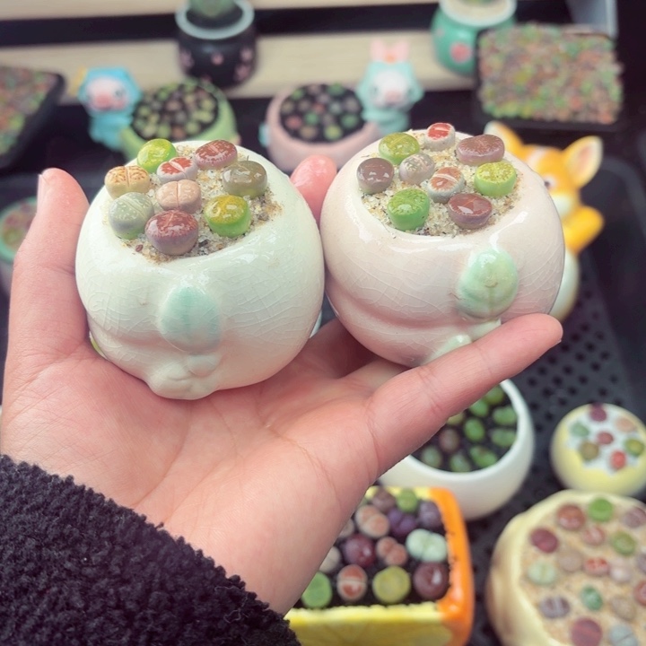 566零下地区记得拍保温箱