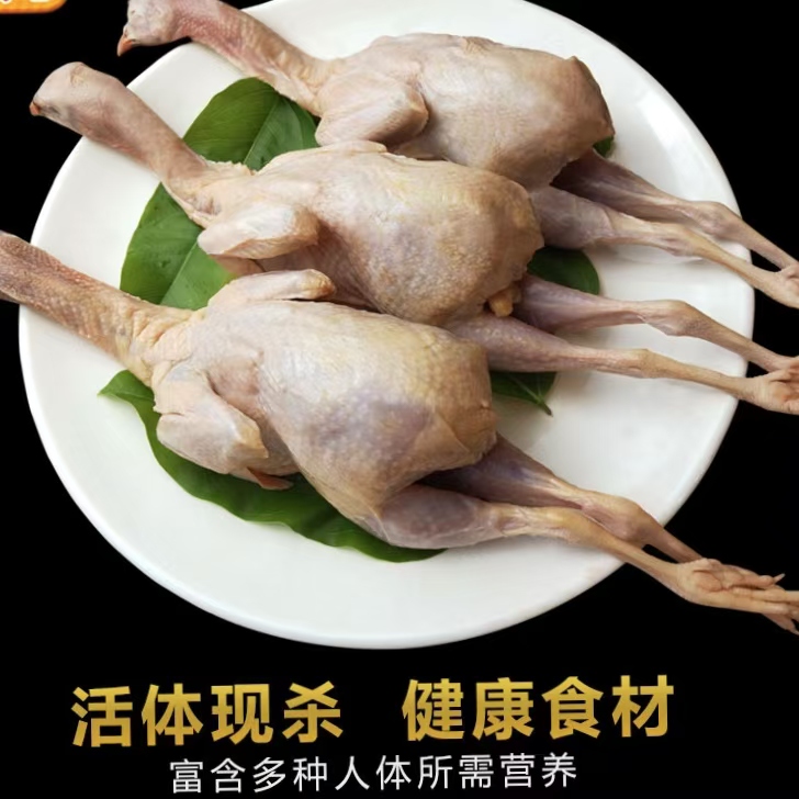 【粉丝福利四只】现宰现杀咕咕鸡呱呱鸡顺丰冷链包邮到家