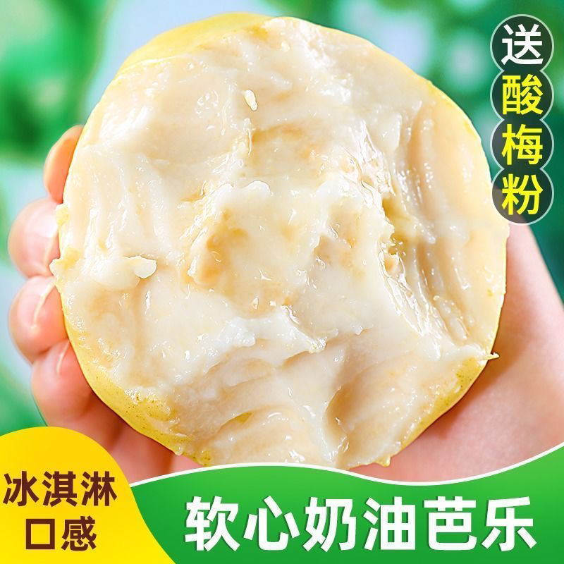当季树熟奶油白心红心软芭乐新鲜现摘现发软糯香甜番石榴京东包邮