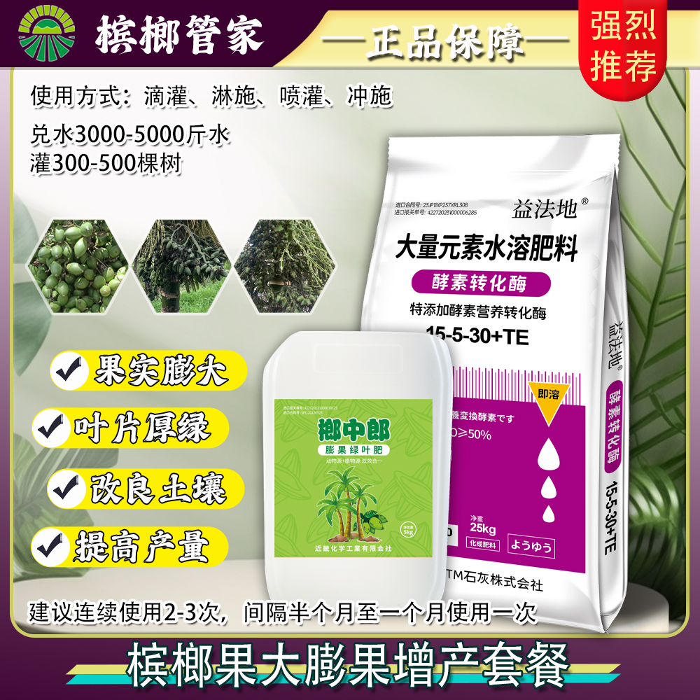 【槟榔膨果期水肥】海藻鱼蛋白膨果增产水溶肥槟榔管家
