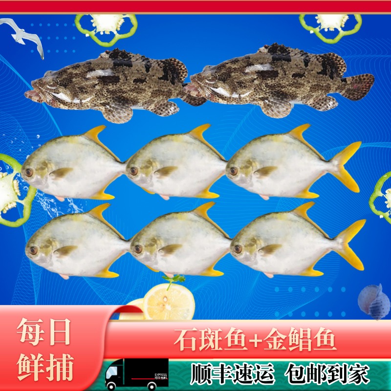 【中秋特惠】龙胆石斑鱼2条+金鲳鱼6条深海新鲜水产海鲜海鱼共5.3斤